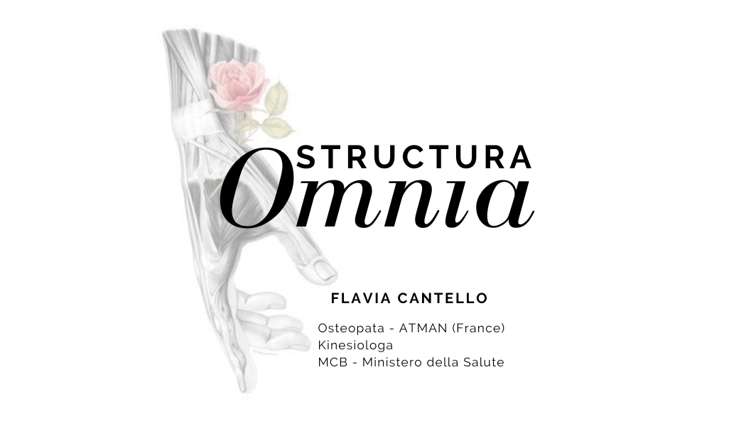 Flavia cantello